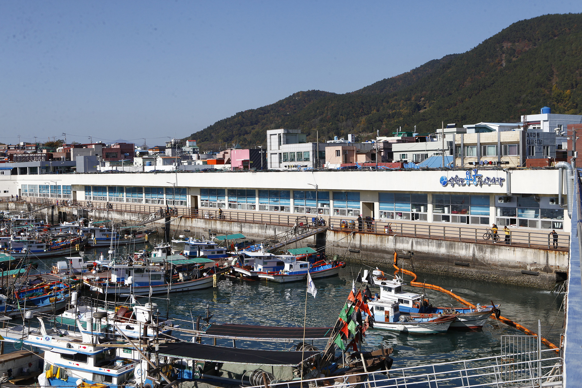 삼천포용궁수산시장 
